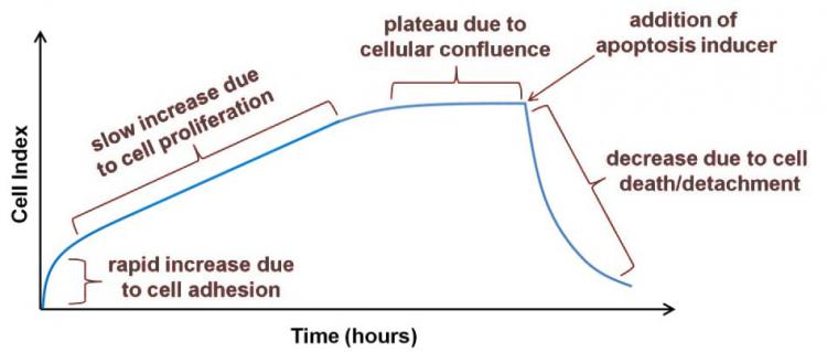 xCELLigence-Tech-Overview-Fig-3A.jpg